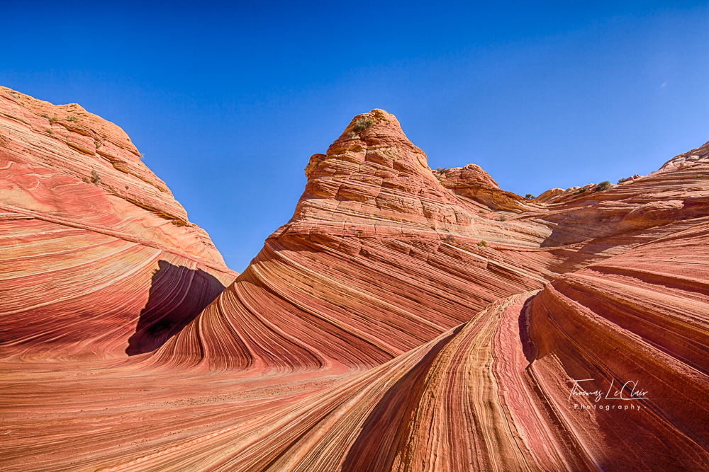 Landscape photograph from the American West