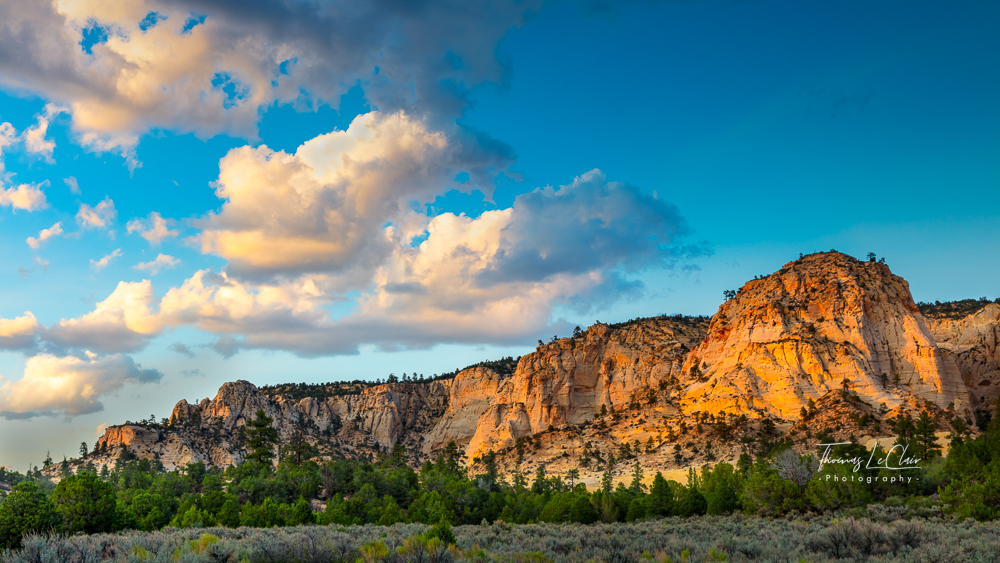 Deer Springs Ranch landscape photograph, second view