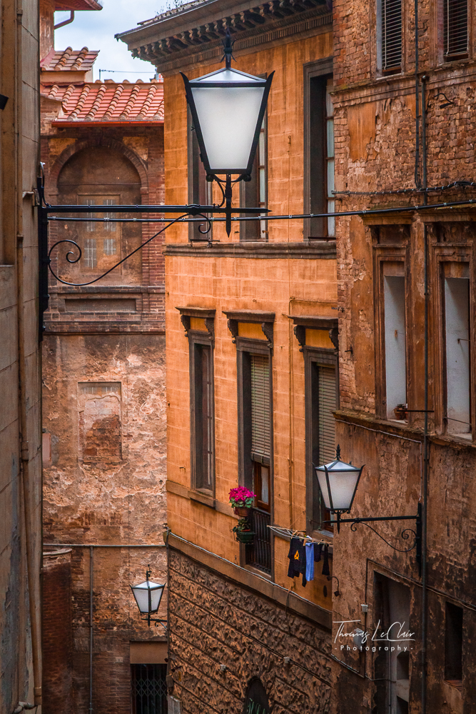 People study photograph, candid moment