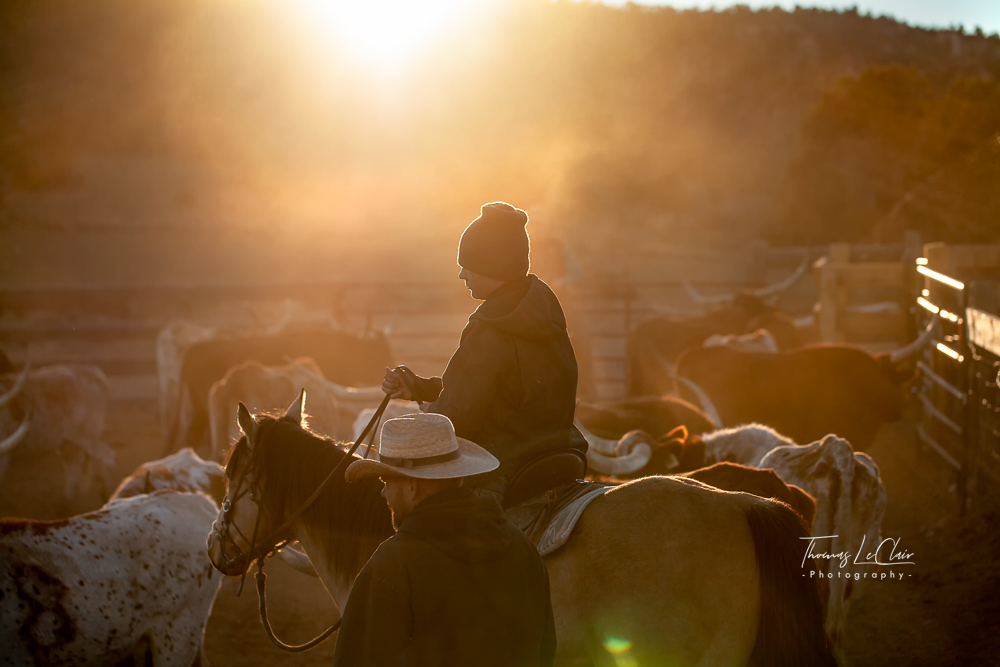 People study photograph