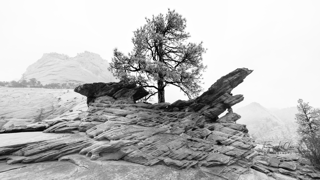 Landscape photography